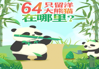 一共有多少只大熊猫在海外 64只海外大熊猫介绍