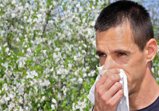 引起春季花粉过敏的元凶是什么 花粉过敏该怎么办