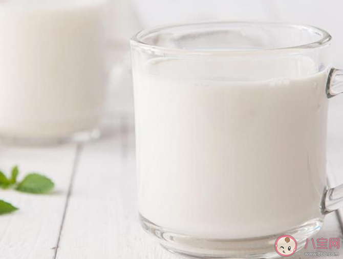 减肥期间能喝纯牛奶吗 减肥期间要多吃什么