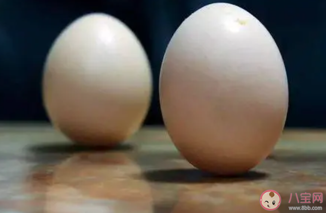 听说春分立鸡蛋成功率高是真的吗 怎样提高立蛋成功率