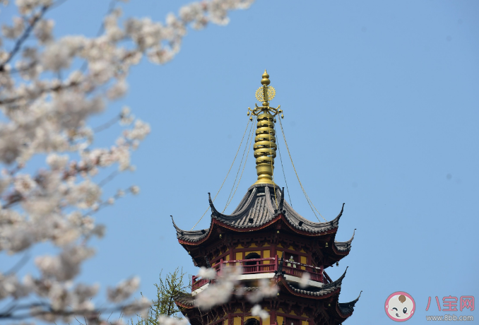 鸡鸣寺游客爆满设反悔门引导离寺是怎么回事 南京鸡鸣寺为什么吸引游客