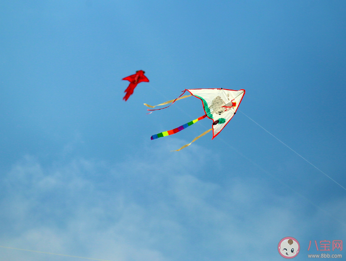 男子放巨型风筝反被带上天是怎么回事 放风筝安全注意事项