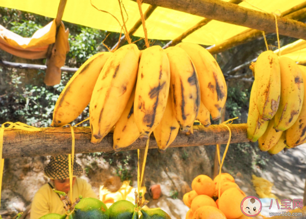 长黑斑的香蕉才能缓解便秘吗 哪种颜色香蕉通便效果最好