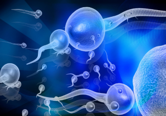 全球男性精子量告急是怎么回事 精子危机要来了吗