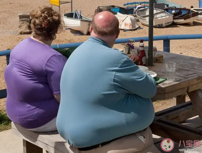 全球超6.5亿成年人肥胖是怎么回事 肥胖的标准是什么