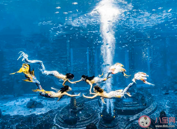 蚂蚁新村4月4日答案：美人鱼潜水表演者采用的是哪种潜水方式