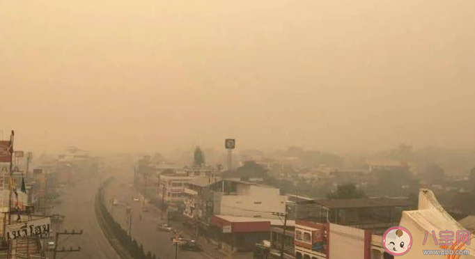 泰国清迈发布居家办公令 为什么清迈的空气质量会如此糟糕