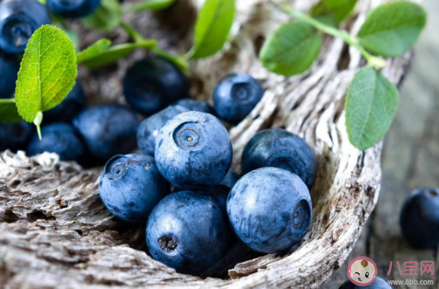 每天吃一盒蓝莓会发生什么 蓝莓品种有什么