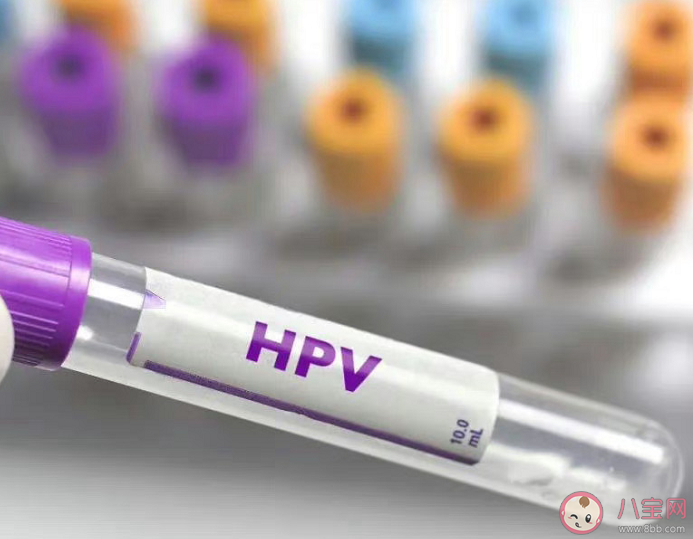 男童喉咙长菜花样肿块确诊感染HPV 感染了HPV就是性生活混乱吗