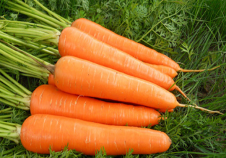 糖尿病人能吃胡萝卜吗 糖尿病人能吃哪些蔬菜