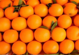 脐橙里面长出了小橙子还能吃吗 蚂蚁庄园6月14日答案最新