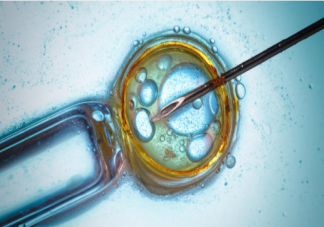 合成人类胚胎取得进展是怎么回事 合成人类胚胎有什么意义
