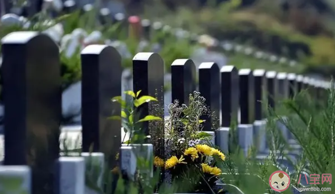 英国将推出水焚葬是怎么回事 为什么火葬不再流行了