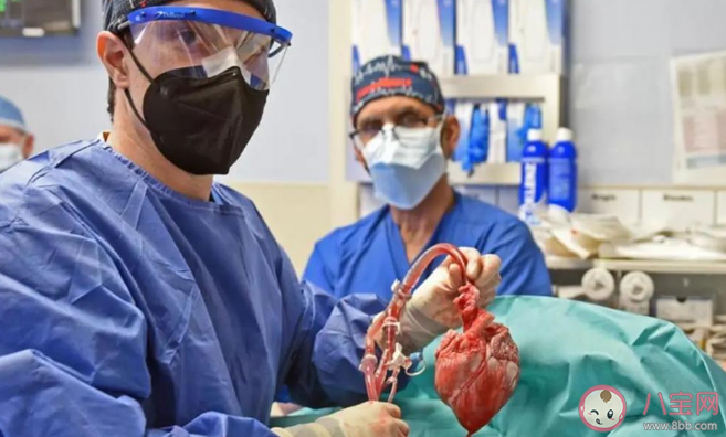 首位猪心移植患者心衰原因公布 猪心移植手术的原理是什么