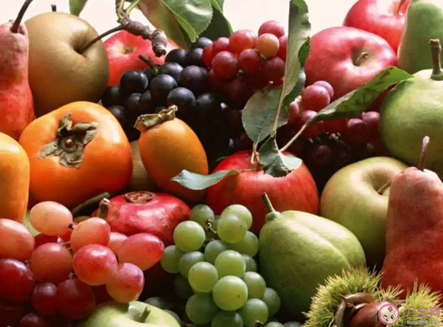 专家建议夏季吃这四种瓜 夏天应该多吃什么水果