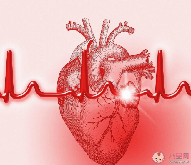 夏天心脏负担有多重 夏季如何预防心血管疾病
