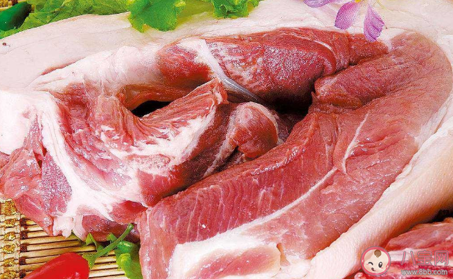 猪价为何持续走低 下半年猪肉价格会回暖吗