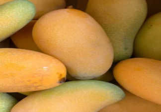 为什么超市里的芒果是热的 芒果怎么保存比较好