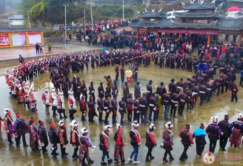 雷山县的苗族鼓藏节第一年二月申日举办的仪式是 蚂蚁新村7月19日答案介绍