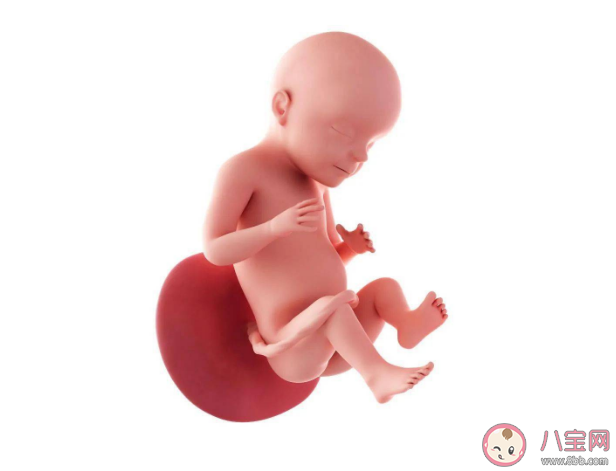 为何会发生腹腔妊娠 腹腔妊娠有多危险