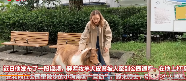 日本男子花10万元把自己变成狗是怎么回事 人和狗有什么区别