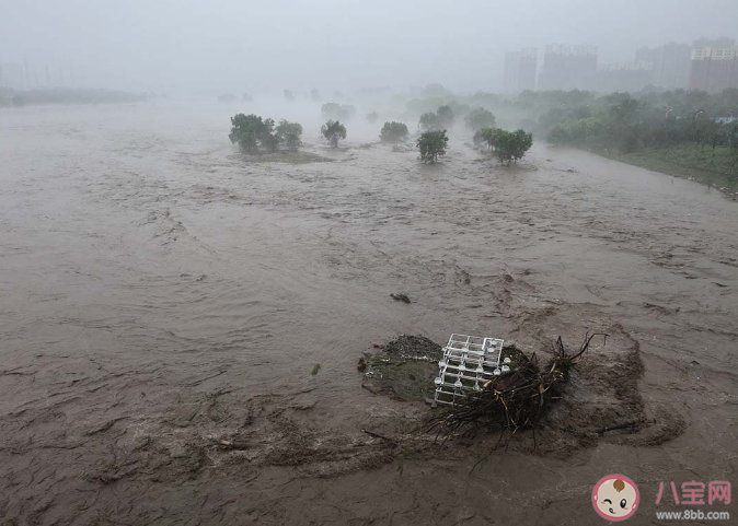 专家称河北天津泄洪保北京不准确 天津为什么会遭遇洪水的袭击