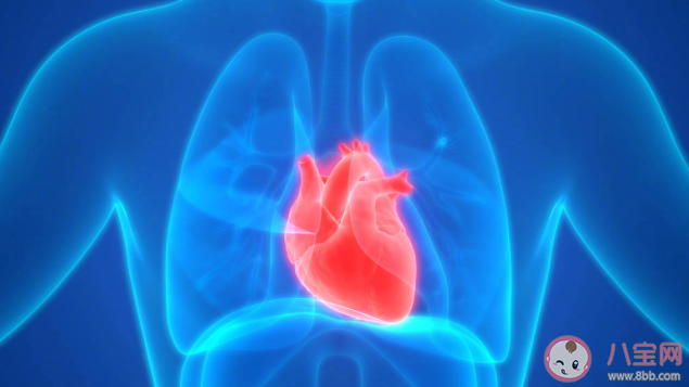 心肺好焦虑程度更低吗 怎样保护我们的心肺