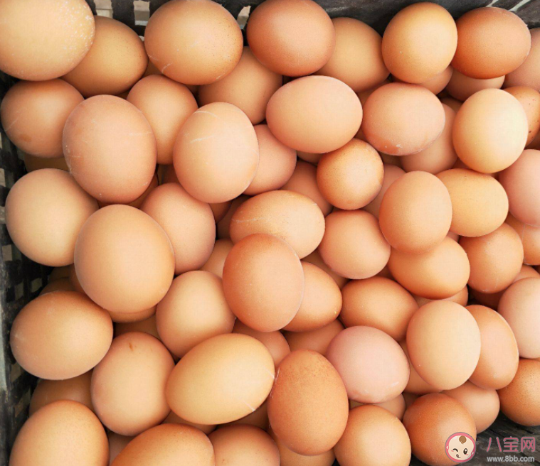 全国多地鸡蛋价格涨至5元以上 鸡蛋为什么涨价了