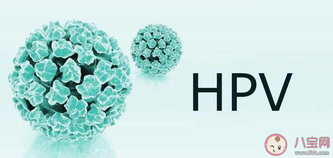 男性生殖器HPV感染率高达45.2% HPV感染不分男女