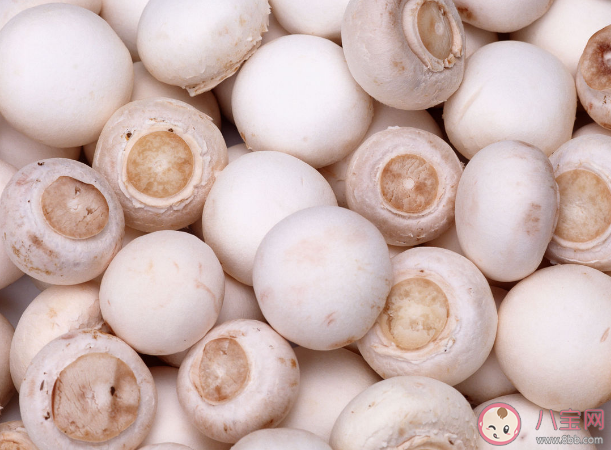 不同蘑菇怎么吃有何禁忌 菌菇的鲜味来自哪