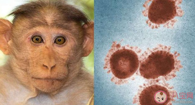 猴痘纳入乙类传染病管理意味什么 如何预防猴痘病毒