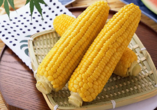 玉米吃了真的不会胖吗 甜玉米和糯玉米哪个热量低