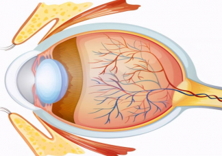 视网膜脱离早发现早治疗 揉眼睛会导致视网膜脱离吗
