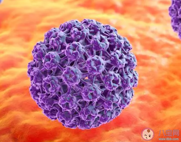 男性感染HPV有何危害 男性感染HPV与女性感染有何差异