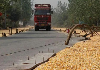 村民公路晒粮还摆上钉子石块 如何看待公路上晒粮食