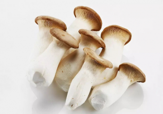 菌菇的功效都有什么 秋季适合吃什么菌菇