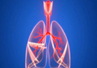 什么样的肺结节容易恶变 部分肺结节或自动消失吗
