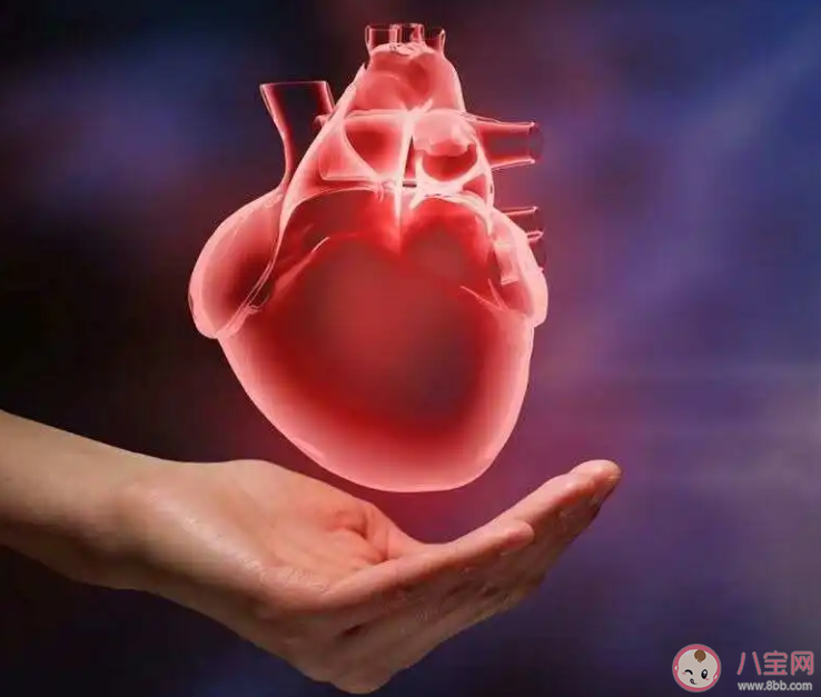 这5个部位疼痛可能是心梗前兆 如何预防心梗