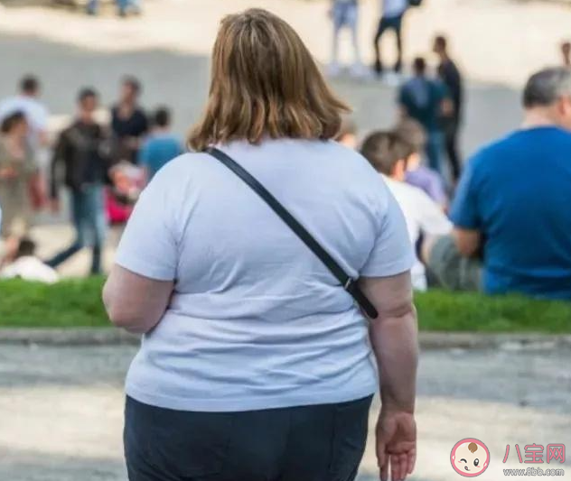 140斤女生减肥1年反胖50斤是怎么回事 为什么会越减越胖