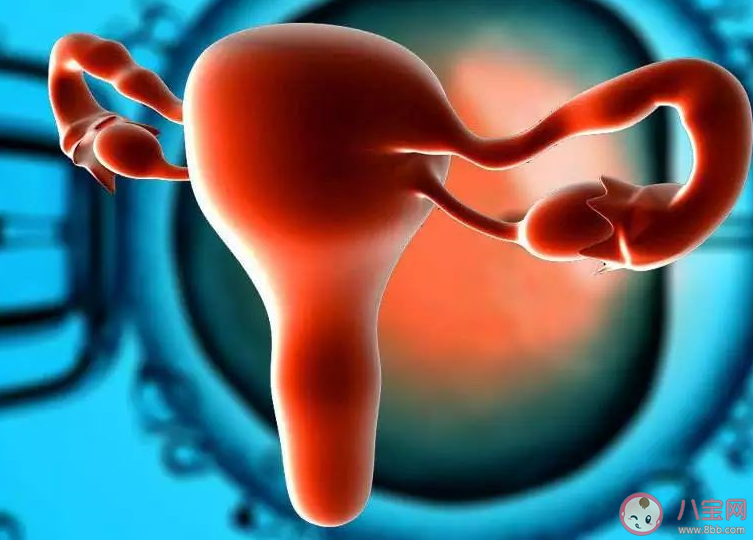 42岁断崖式衰老女子确诊卵巢早衰是真的吗 为什么会卵巢早衰