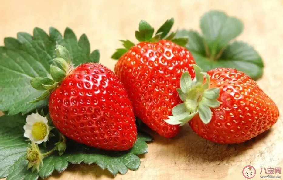 明年二三月草莓价格或达低点是真的吗 草莓价格受到哪些因素影响