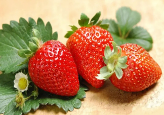 明年二三月草莓价格或达低点是真的吗 草莓价格受到哪些因素影响