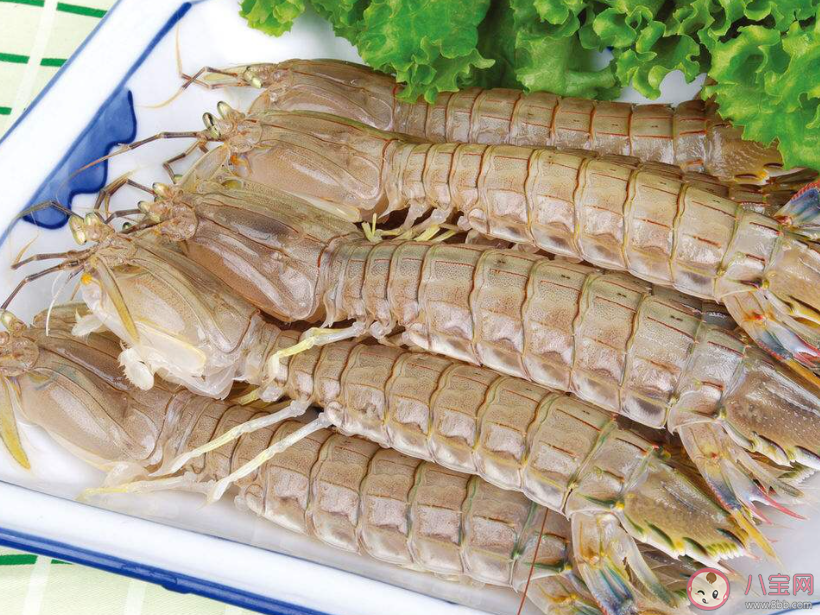 皮皮虾是一种虾吗 神奇海洋1月9日答案