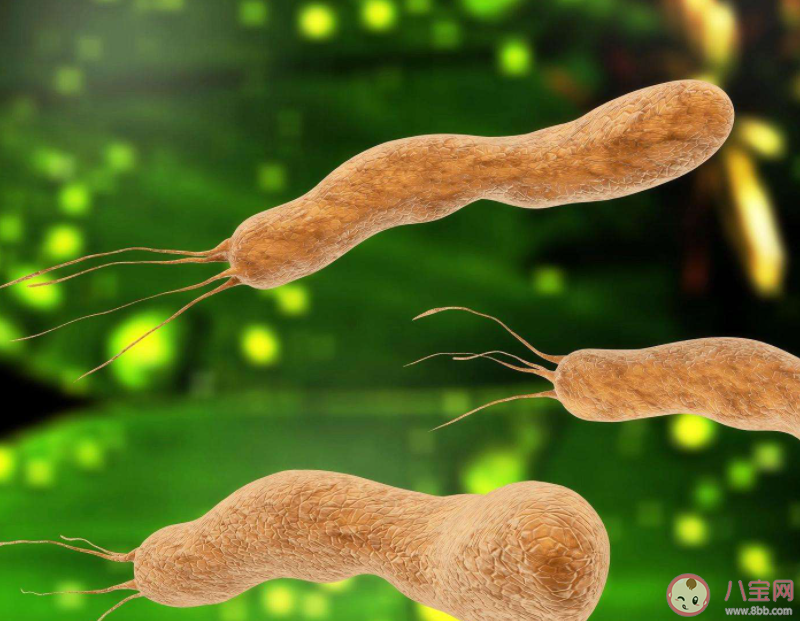 为什么幽门螺杆菌会反复感染 如何有效预防幽门螺杆菌感染