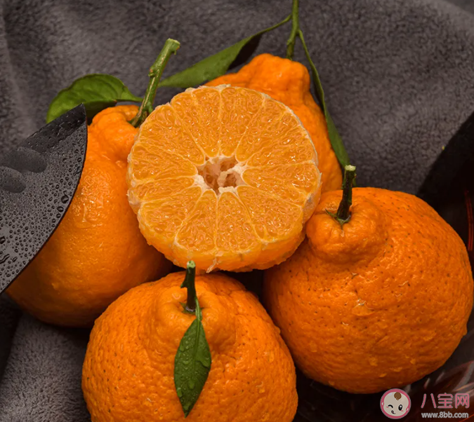 人们常说的丑橘和粑粑柑是一种水果吗 蚂蚁庄园1月26日答案