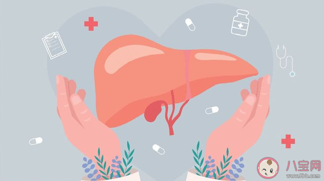 哪些肝脏求救的信号要知道 日常应该怎么养肝护肝