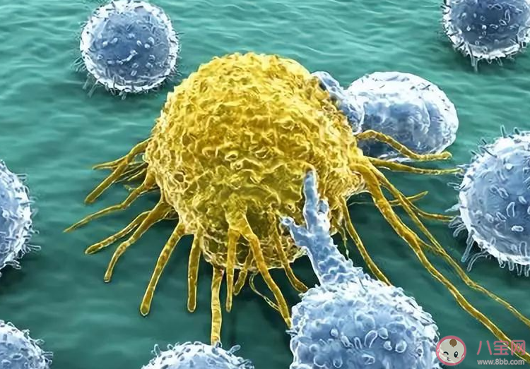 癌细胞也是身体的一部分吗 癌细胞到底从何而来
