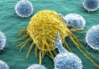 癌细胞也是身体的一部分吗 癌细胞到底从何而来