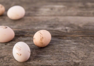 没有鸡屎的鸡蛋就真的干净吗 鸡蛋上看不见的致病菌有哪些