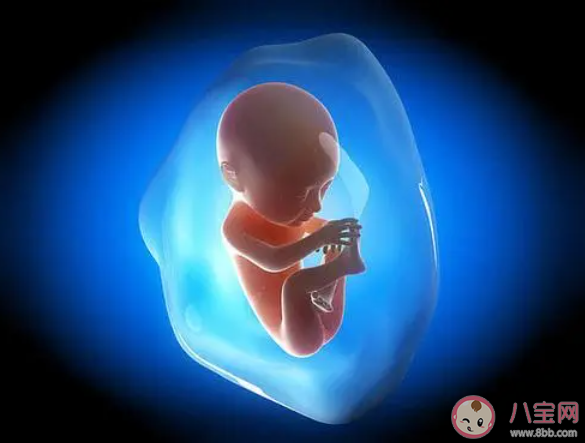 韩国允许对胎儿进行性别鉴定 要不要对胎儿性别鉴定